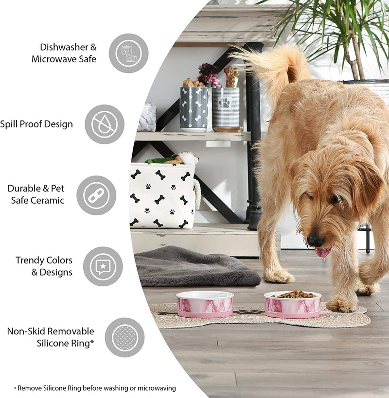 Lattice Pet Bowl, Removable Silicone Ring Creates Non-Slip Bottom for Secure Feeding & Less Mess, Microwave & Dishwasher Safe, Small Set, 4.25X2", Gray, 2 Count